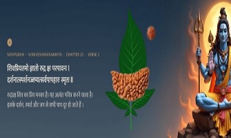 एक मुखी रुद्राक्ष के फायदे और नुकसान, पहनने की विधि, कौन पहन सकता है, कौन नहीं